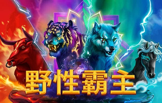 9767彩票最新版手机下载